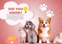 Did You Know Cat Banner Cartolina template