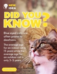 Did You Know Cat Flyer (US Letter) template
