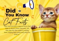 Did You Know Cat Postal template