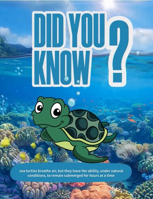 Did You Know Turtle Flyer (US Letter) template