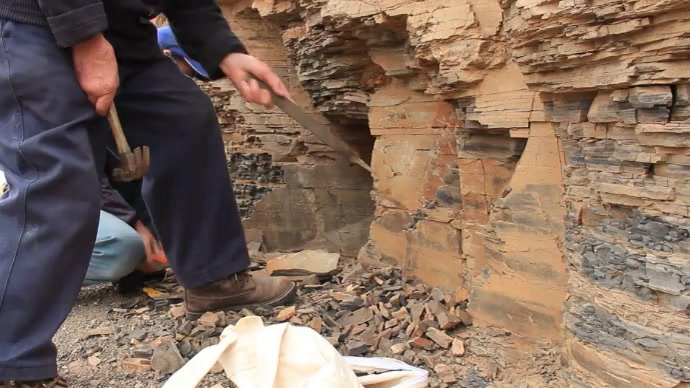 Dig for fossils Foto de Portada de Canal de YouTube template