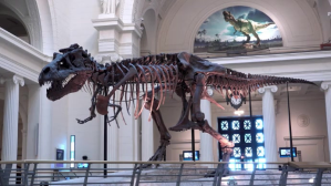 dinosaur skeleton Miniatura de YouTube template