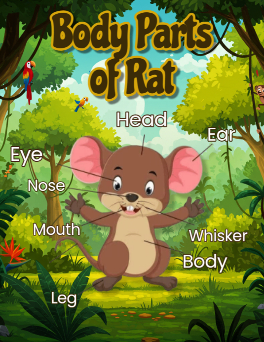 Discover and Learn: Rat Parts Flyer (US Letter) template