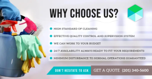 Disinfective Service Business Facebook Ad template