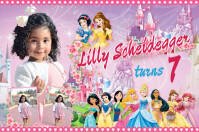 Disney Princess Birthday Design Banner 4