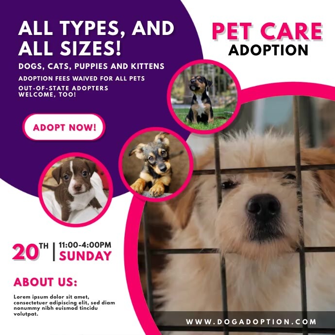 Advertisement Examples Adoption Copy of Dog Adoption Service Video Ad | PosterMyWall