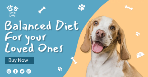 Blå Pet Food Advertisement auf Facebook geteiltes Bild Template