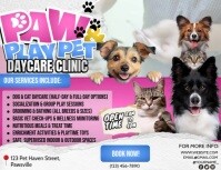 Dog And Cat Daycare Flyer (format US Letter) template