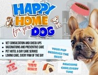 Dog Care Flyer (US Letter) template