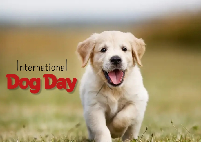 Dog Day Template PosterMyWall