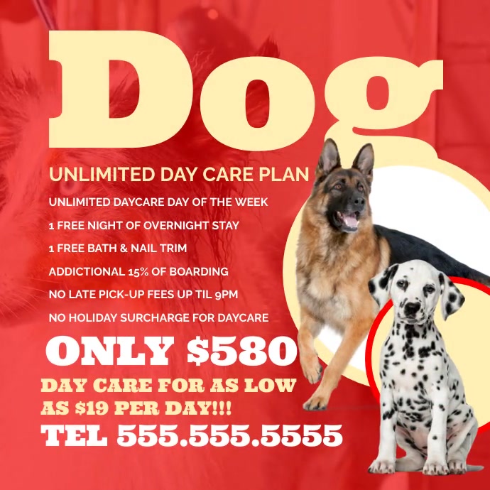 Dog Daycare flyer video promoting Template PosterMyWall