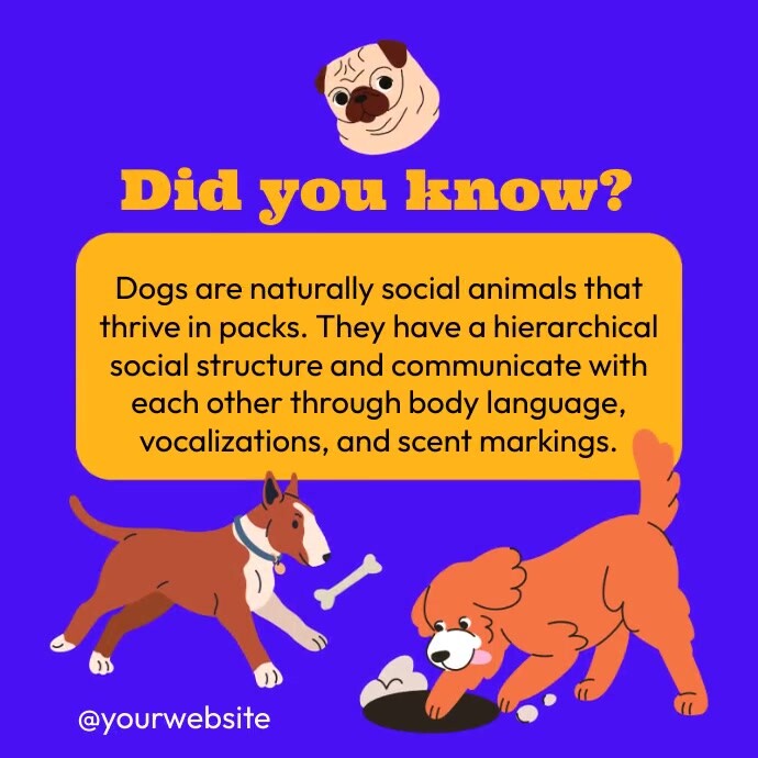 Dogs Fact Card Dog Facts Template | PosterMyWall