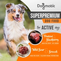 Dog Food Ad Instagram Image template