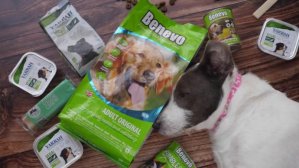 Marron Dog food products video YouTube Thumbnail Template