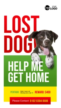 Dog Lost Ad Template Historia de Instagram