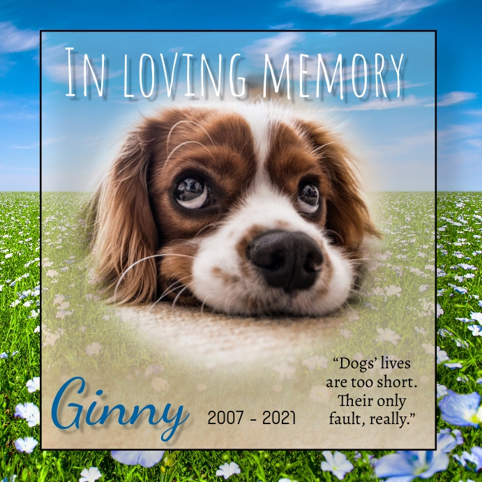 Dog Memorial Loss instagram template | PosterMyWall dog-memorial-loss-instagram-template-postermywall
