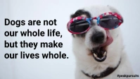 Dog message Facebook Cover Video (16:9) template