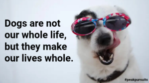 Dog message Facebook Cover Video (16:9) template