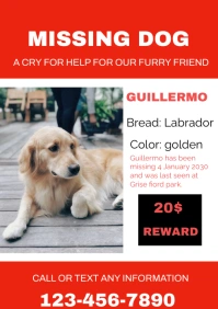 Dog missing A2 template