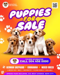 Dog Puppies For Sale Puppy Pet Adoption French Bulldogs German Shepherd Chihuahua Ads Flyer Template Instagram Portrait