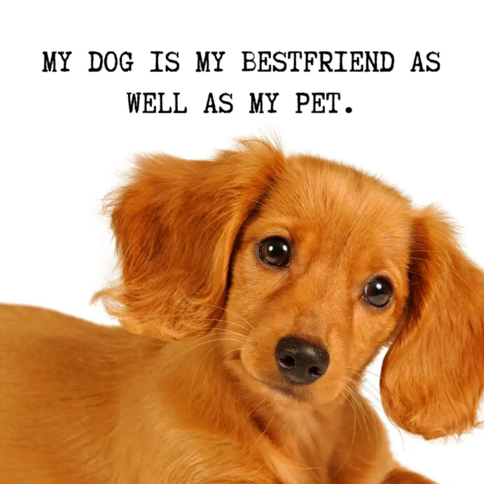 Dog Quotes Template PosterMyWall