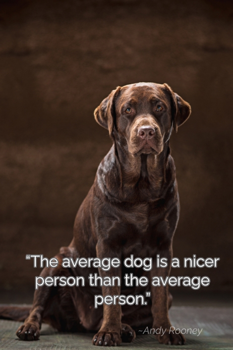 Dog Quotes Template PosterMyWall