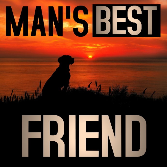 Modele De Citations De Chien Instagram Postermywall Modele De Citations De Chien Instagram Postermywall