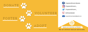 Orange Animal Rescue Advocacy Facebook Cover Photo Template