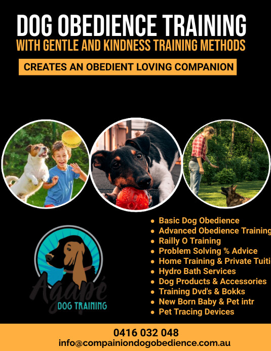 Dog training flyer template