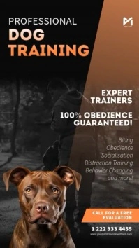 Dog Training Flyer Social Media Video Ad Template Instagram Story