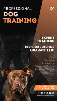 Modern and Minimal Professional Dog Training Instagram Story Video Flyer template