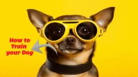 Dog training thumbnail template
