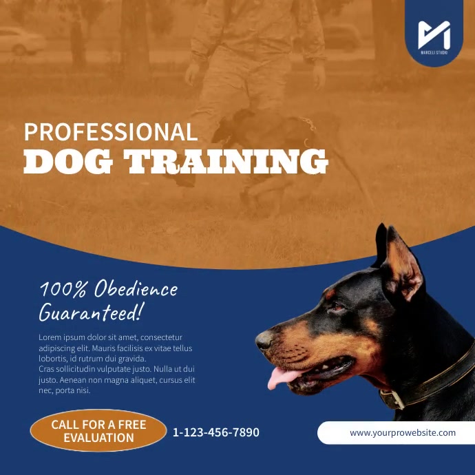 Dog Training Video Ad Square (1:1) template