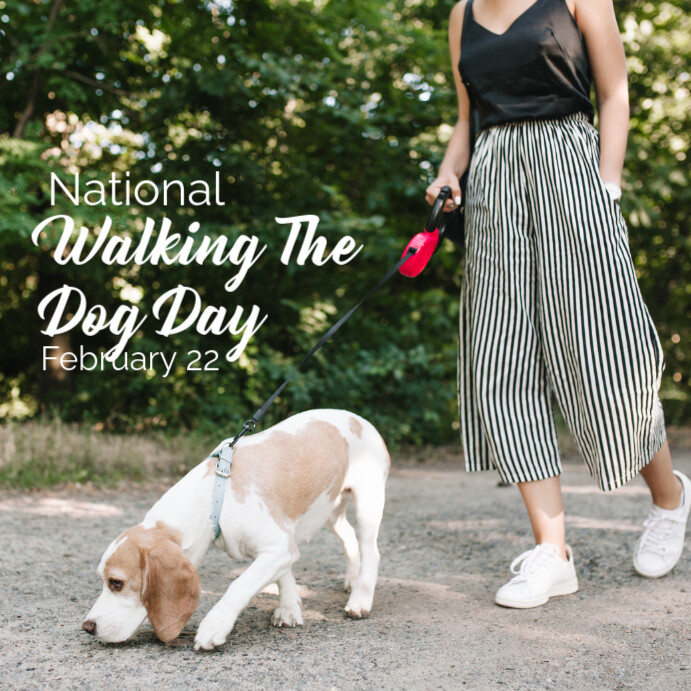 Dog Walking Instagram 帖子 template