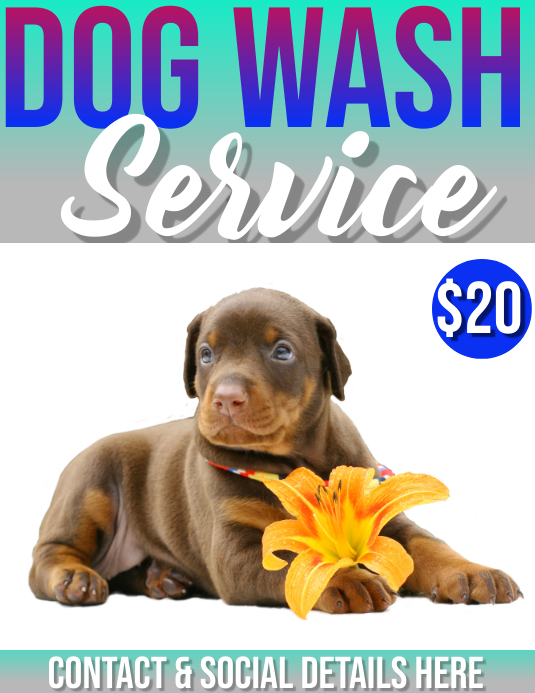 dog wash Template PosterMyWall