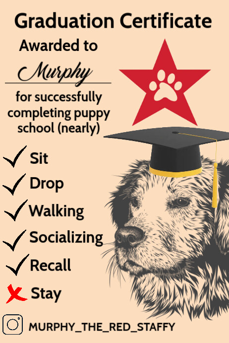 Dogs Graduation Certificate Template PosterMyWall