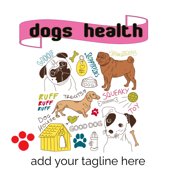 Gorgeous Dog Care Health Image Photography Gorgeous Dog Care Health Image Photography