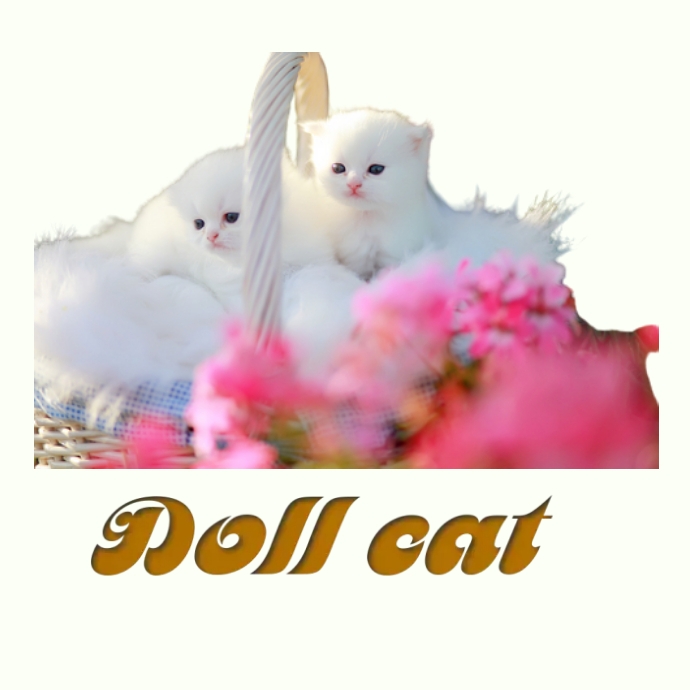 doll cat Logo template