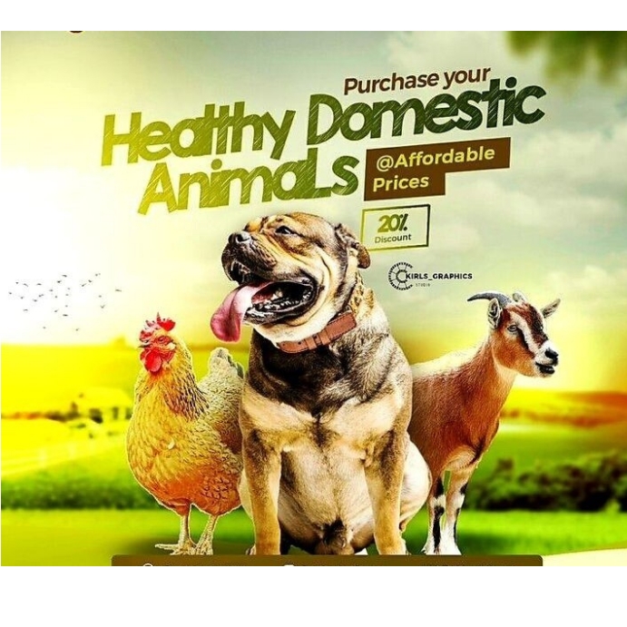 Domestic animals Template | PosterMyWall