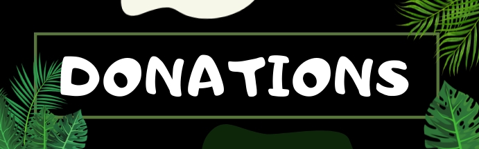 Spenden Panel Donation Panel Bild , Twitch Spenden einrichten Streamlabs – NTBA