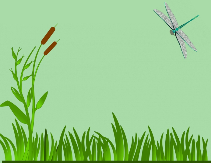 Dragonfly Background Template PosterMyWall
