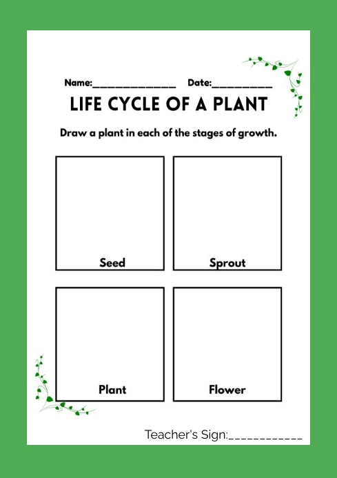 Grow Worksheet.pdf Stages Of Plant Growth Worksheet
