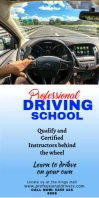DRIVING SCHOOL22 Roll Up Banner 3' × 6' template