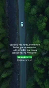 driving the middle of nature template video Digital Display (9:16)