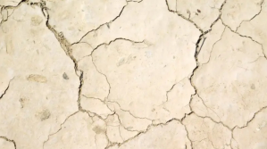 Amarelo Cracked Earth Texture Digitalt display Template