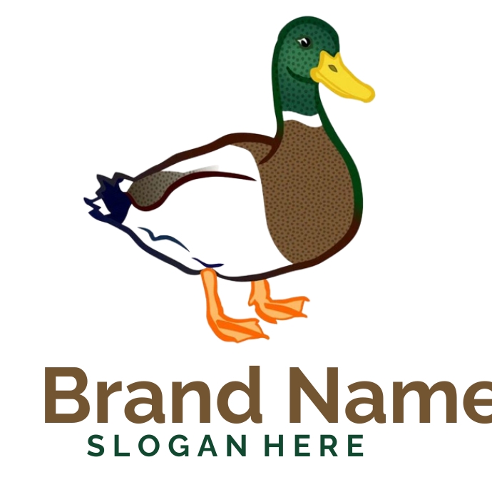 Duck logo ,bird logo, pet logo Logotyp template