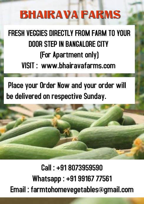 E-commerce for fresh veggies (Poster) A4 template
