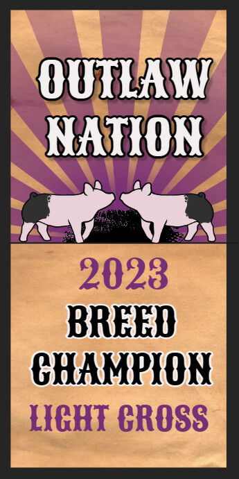 Template Rodeo Flyer (1) | PosterMyWall