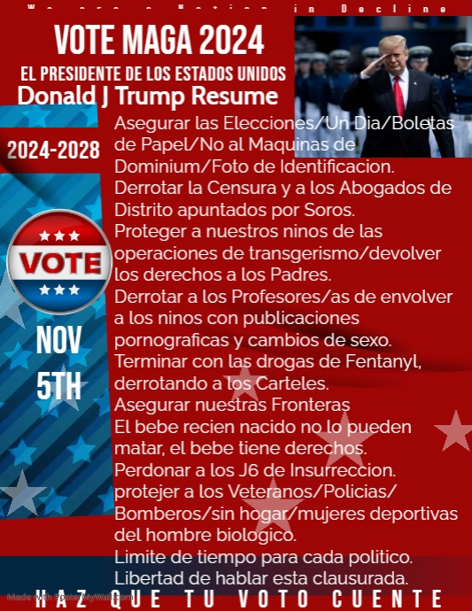 Election campaign poster template (1) | PosterMyWall