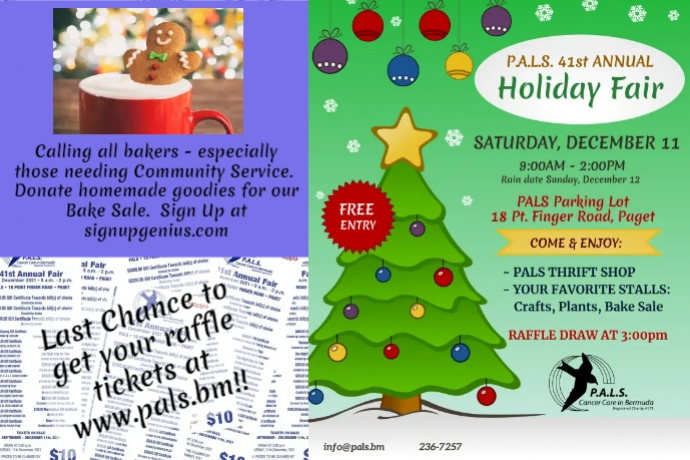 Copy of Fair & raffle poster | PosterMyWall